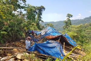 Bắt nghi can đâm 2 người trọng thương ở bãi vàng