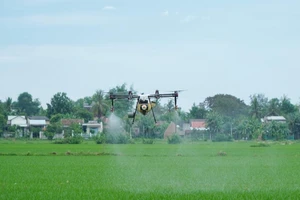 Dùng thiết bị bay phun thuốc, phân bón trên đồng lúa
