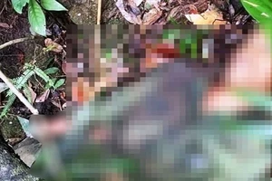 Tử vong vì trúng 13 viên đạn súng ria khi đi săn