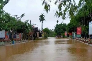 Quảng Nam: Dọn đồ chống lũ, 1 người bị điện giật tử vong