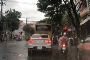 Xe buýt Quảng Nam-Đà Nẵng xin tiếp tục được vào ven nội đô