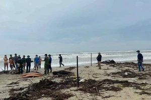 Tìm thấy thi thể người nước ngoài sau nhiều ngày mất tích