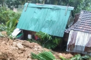 Quảng Ngãi đề nghị hỗ trợ 310 tỉ để đưa dân khỏi vùng sạt lở