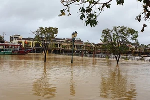 Quảng Nam: Tin lũ khẩn cấp trên sông Vu Gia, Thu Bồn