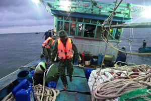 12 ngư dân gặp nạn trên biển Cù Lao Chàm