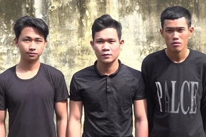 Cắt trộm 1 tấn dây điện trung thế rồi đem bán phế liệu