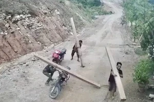 Khởi tố 2 người phá 1,5ha rừng tự nhiên ở Quảng Ngãi