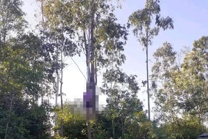 1 người chết trong tư thế treo cổ ở gần nghĩa trang