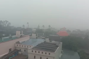 Bão số 5: Lý Sơn gió giật mạnh, Quảng Nam mưa lớn tầm tã