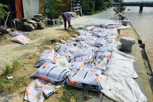 Kè bảo vệ phố cổ Hội An hơn 135 tỉ bị sụt lún 