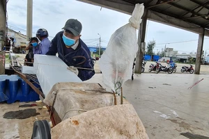 Lý do Quảng Ngãi không hỗ trợ lao động tự do bị ảnh hưởng bởi dịch COVID-19