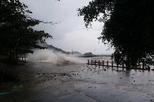 Lý Sơn có gió giật cấp 9, tàu thả neo giữa ‘eo bão’