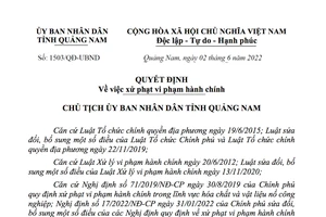 Quảng Nam phạt 250 triệu đồng đối với 2 doanh nghiệp vi phạm