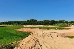 TP Quảng Ngãi thông tin về dự án khu dân cư phía Bắc 