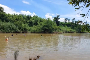 Từ TP.HCM về Quảng Nam dự đám cưới, 2 cha con bị đuối nước thương tâm