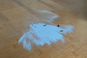 Xác định nguồn gốc bụi trong nhà người dân ở Quảng Ngãi