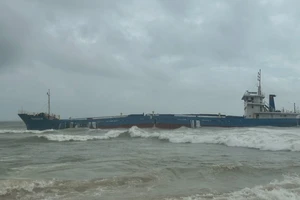 Tàu chở gạo mắc cạn gãy đôi, Quảng Ngãi họp khẩn
