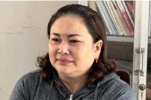 Lừa mua đất thi hành án để chiếm đoạt tiền tỉ