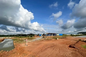 Chiếm hơn 31.000 m2 đất, 1 doanh nghiệp bị phạt 632 triệu đồng