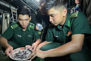 Biên phòng Quảng Ngãi tạm giữ nhiều đồ gốm sứ nghi là cổ vật