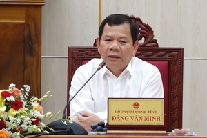 Vụ phá rừng mở đường ở Quảng Ngãi: Chủ tịch tỉnh chỉ đạo 'sai đến đâu xử lý đến đó'