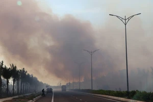 Rừng ven biển Quảng Nam cháy ngùn ngụt