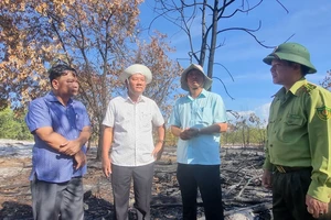 Vụ đốt rừng phòng hộ để diễn tập chữa cháy ở Quảng Nam: Có sai sót