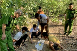 3 thanh niên mang theo súng, đi vào rừng chơi ma tuý