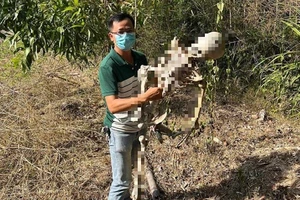Công an công bố sự thật về 'bộ xương người' trong rừng ở Quảng Nam