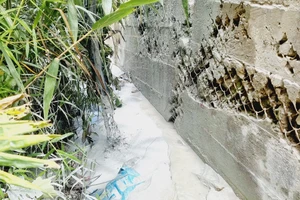 Chủ tịch Quảng Nam chỉ đạo xác minh mỏ vàng xả thải ra suối