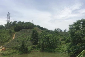 Người phụ nữ bị sét đánh tử vong. Ảnh minh hoạ.