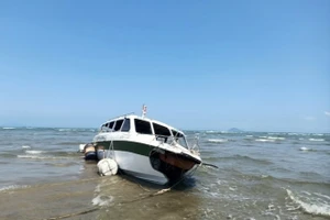 Quảng Nam đề nghị Cục Đăng kiểm kiểm tra tàu hoán cải