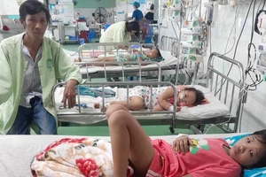  4 mẹ con bị ong vò vẽ đốt nhập viện