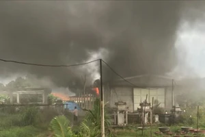 Cháy kho chứa lúa giống ở Quảng Nam 