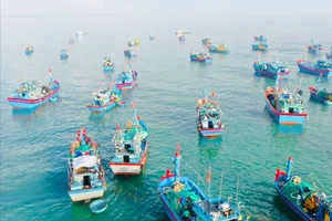 Quảng Ngãi đề xuất cấm khai thác thuỷ sản ven bờ có thời hạn. Ảnh: NT