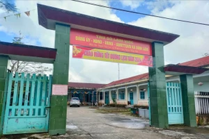 300 con gà giống Nhà nước hỗ trợ 'chạy' vào nhà mẹ ruột Chủ tịch UBND xã Bình Lâm. Ảnh: TN