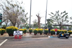 Ế ẩm chưa từng có, người bán hoa lo mất Tết