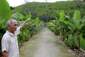 Văn phòng UBND tỉnh báo cáo Bí thư Tỉnh uỷ Quảng Nam vụ 89 xã rớt chuẩn nông thôn mới. Ảnh: TN