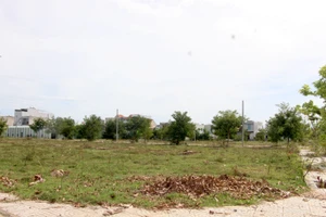 Quảng Nam yêu cầu thanh tra đột xuất dự án 'bán' đất 6 năm không ra sổ. Ảnh: TN
