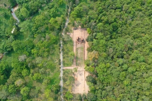 Phát hiện 'con đường thiêng' dưới lòng đất Mỹ Sơn. Ảnh: MS