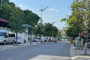 Quảng Ngãi báo cáo các dự án trồng cây xanh cho Bộ Công an. Ảnh: TN