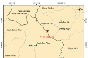 Bản đồ tâm chấn động đất. Ảnh: Viện vật lý địa cầu.