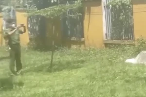 Phát hiện thi thể đang phân huỷ trước hàng rào 1 công ty. Ảnh: TN