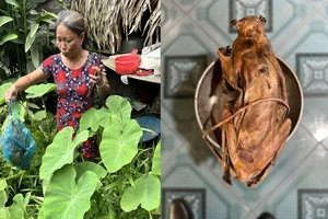 Mua bán động vật quý hiếm, người phụ nữ bị bắt. Ảnh: CA