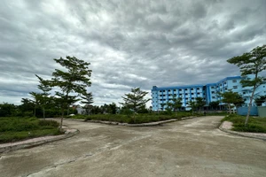 Phù phép hơn 4.251 m2 đất sản xuất thành đất ở để phân lô bán nền. Ảnh: TN