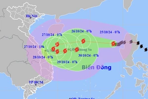 Quảng Nam cấm biển ứng phó bão Trà Mi