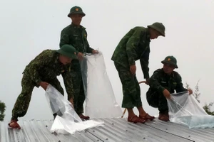 Bộ đội giúp dân chằng nhà chống bão Trà Mi