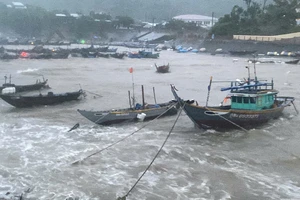 Bão Trà Mi áp sát đất liền, Hội An có gió cấp 8-9