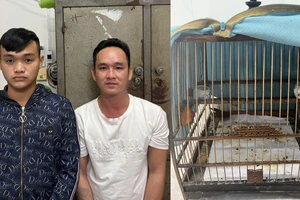 Vinh và Bình cùng nhau thực hiện vụ cướp giật lồng chim chào mào xảy ra trên địa bàn huyện Duy Xuyên. Ảnh: CA