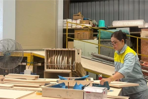 Lương, thưởng Tết ở Quảng Nam giảm, người thấp nhất chỉ 50.000 đồng